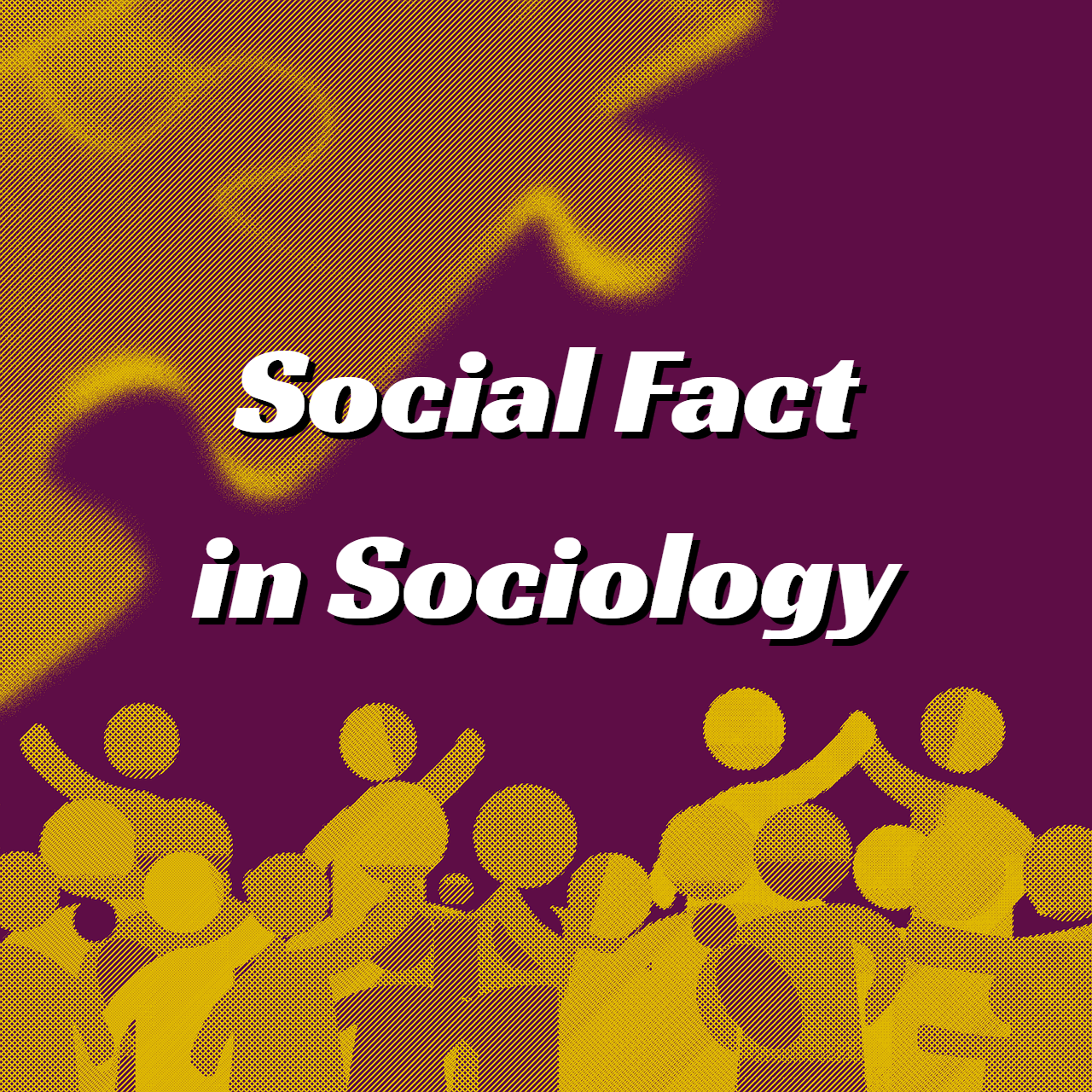 Social Facts Definition in Sociology & Explanation