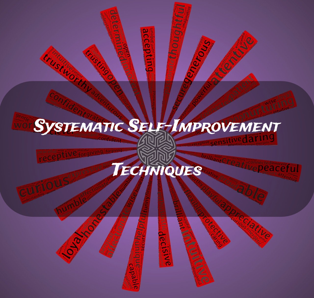 What are Systematic Self Improvement Techniques